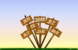 DOMAIN NAMES 